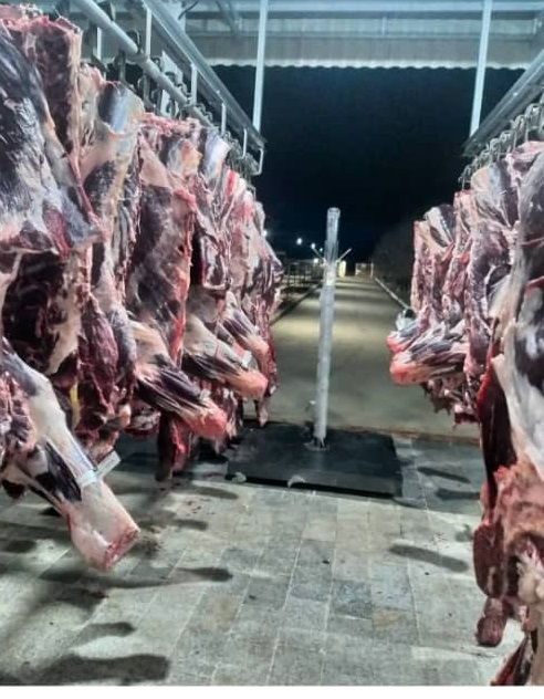 استفاده از تکنولوژی‌های روز